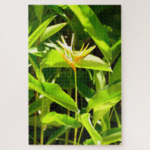 Paradiesvogel Puzzle