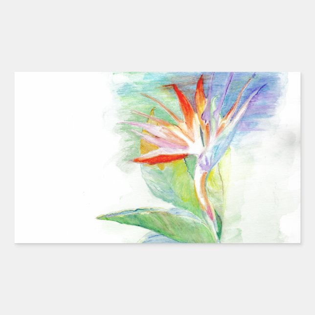 Paradiesvogel Rechteckiger Aufkleber (Vorderseite)