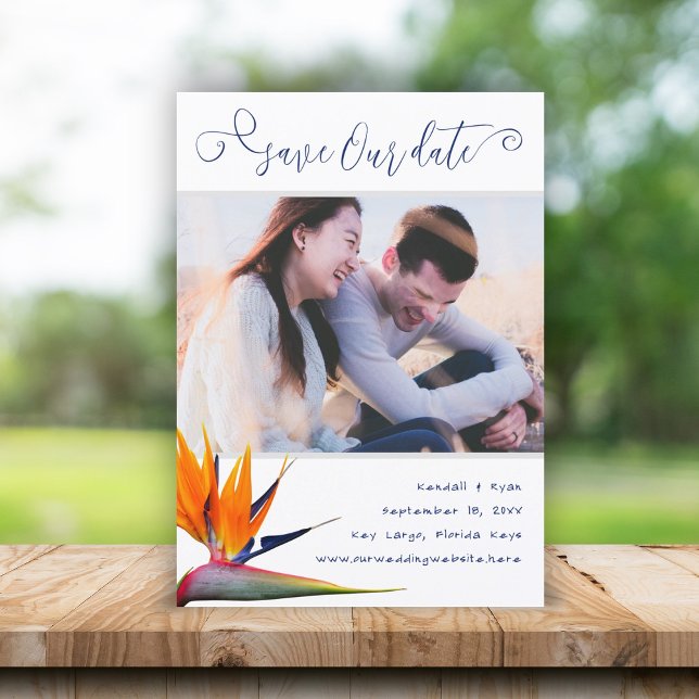 Paradiesvogel Rette unsere Ankündigung (Von Creator hochgeladen)