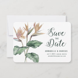 Paradiesvögel Save The Date