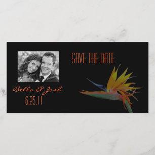 Paradiesvogel Save the Date Fotokarte
