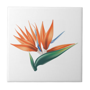 Paradiesvogel, strelitzia exotische Blume Fliese