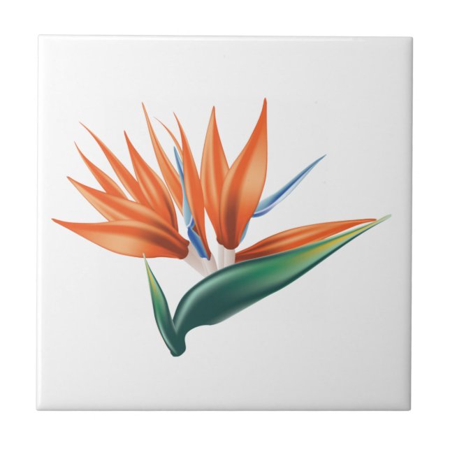 Paradiesvogel, strelitzia exotische Blume Fliese (Vorderseite)