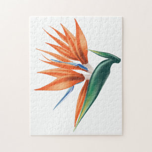 Paradiesvogel, strelitzia exotische Blume Puzzle