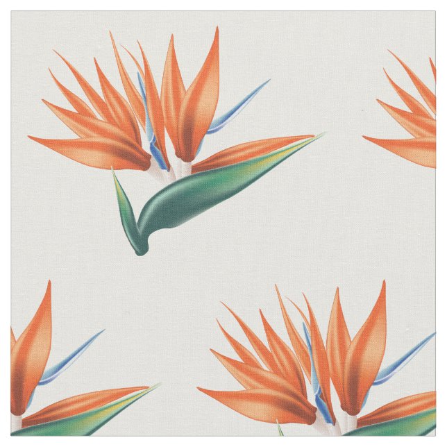 Paradiesvogel, strelitzia exotische Blume Stoff (Nahaufnahme)