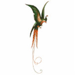 Paradiesvogel Vintage Kunst Freistehende Fotoskulptur<br><div class="desc">Paradiesvogel Illustration,  C. 1915,  genommen von einer Vintagen Musikblattabdeckung.</div>