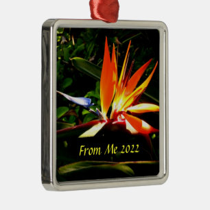 Paradiesvogel-Weihnachtsbaumanhänger Ornament Aus Metall