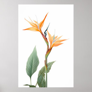Paradiesvogeldrawing (Blume) Poster