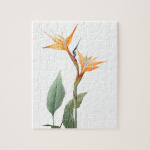Paradiesvogelfzeichnung (Blume) Puzzle