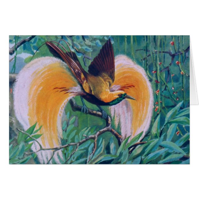 Paradise Bird Card (Vorderseite (Horizontal))