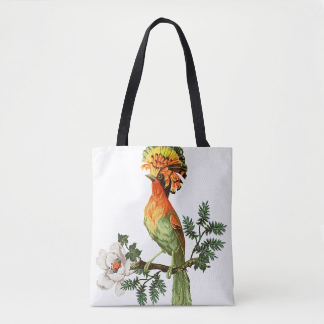 Paradise Birds: Exotic Floral Background (Vorderseite)