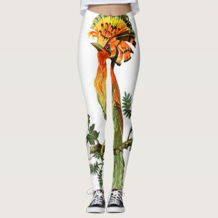 Paradise Birds: Exotic Floral Background Leggings