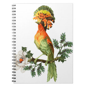 Paradise Birds: Exotic Floral Background Notizblock