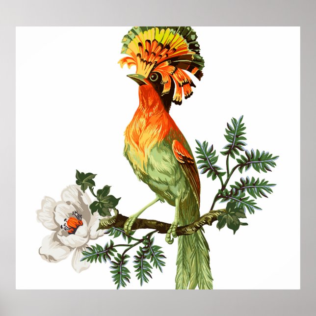Paradise Birds: Exotic Floral Background Poster (Vorne)