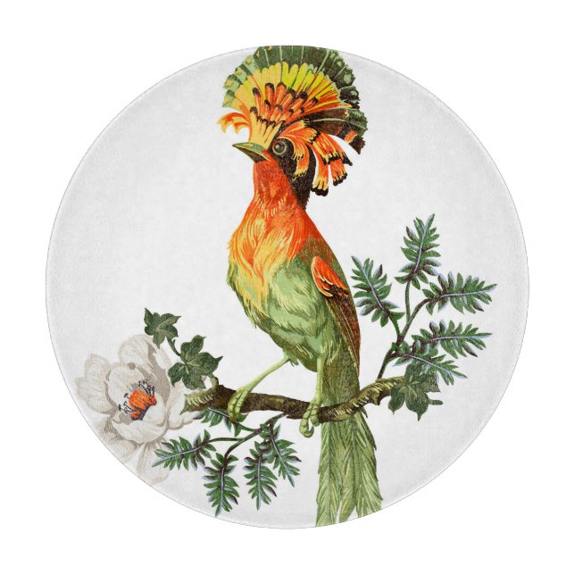 Paradise Birds: Exotic Floral Background Schneidebrett (Vorderseite)