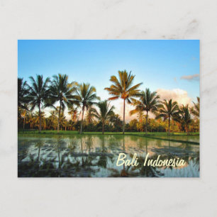 Paradise Foto Tropical Palm Trees Bali Indonesien Postkarte