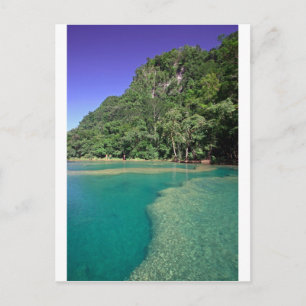 Paradise grüne Lagune Semuc Champey Guatemala Postkarte
