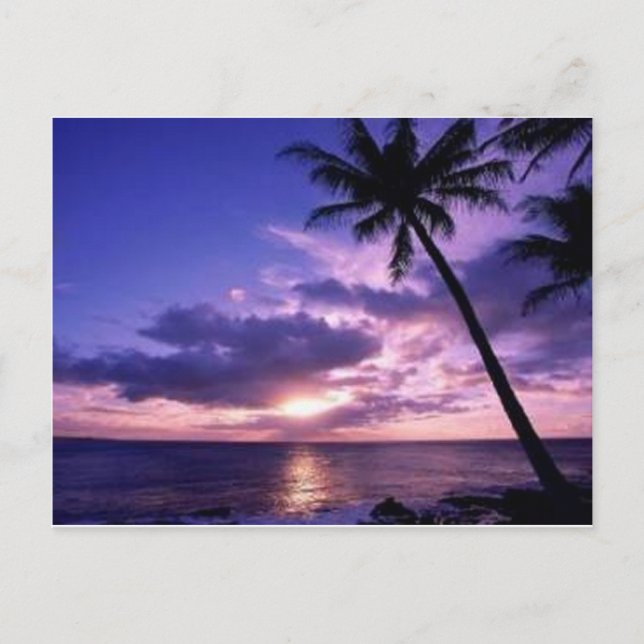 Paradise Island Postkarte (Vorderseite)