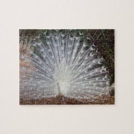 Paradise Peacock Puzzle