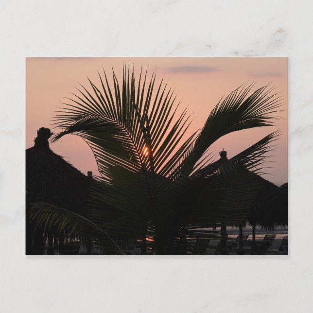 Paradise Village - Puerto Vallarta, Mexiko Postkarte (Vorderseite)