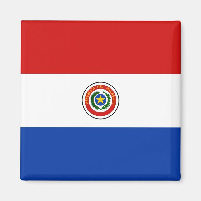 Paraguay Flag Magnet (Vorne)