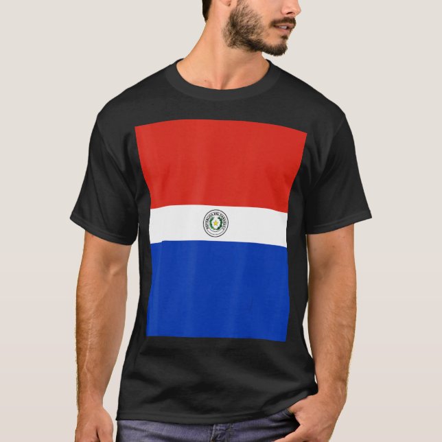 Paraguay Flag Souvenir Heritage Reise T-Shirt (Vorderseite)
