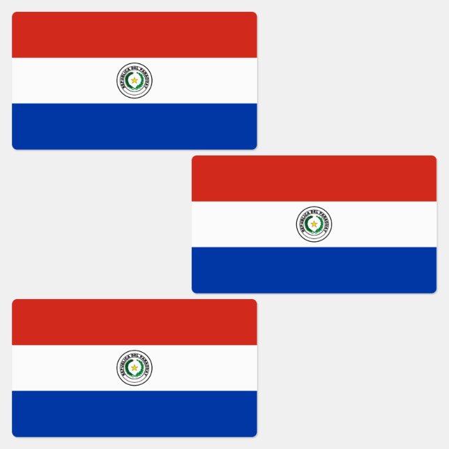Paraguay-Flagge Etiketten (Gruppe)