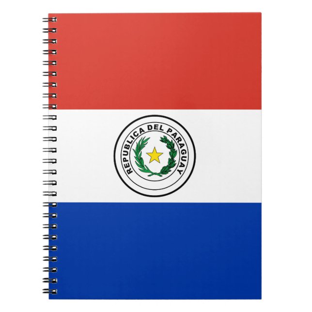 Paraguay-Flagge Notizblock (Vorderseite)