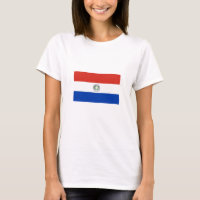 Paraguay-Flagge