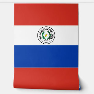 Paraguay-Flagge Tapete
