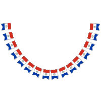 Paraguay-Flagge