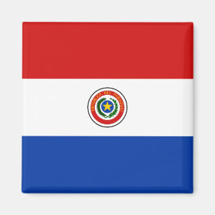 Paraguay-Flaggen-Magnet Magnet