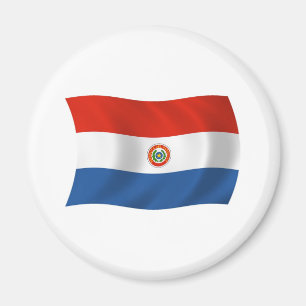 Paraguay-Flaggenmagnet Magnet