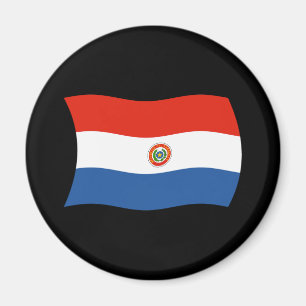 Paraguay-Flaggenmagnet Magnet