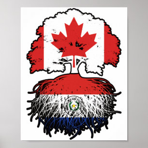 Paraguay Paraguayan Kanada Tree Roots Poster