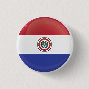 Paraguay Round Icon Flag Button