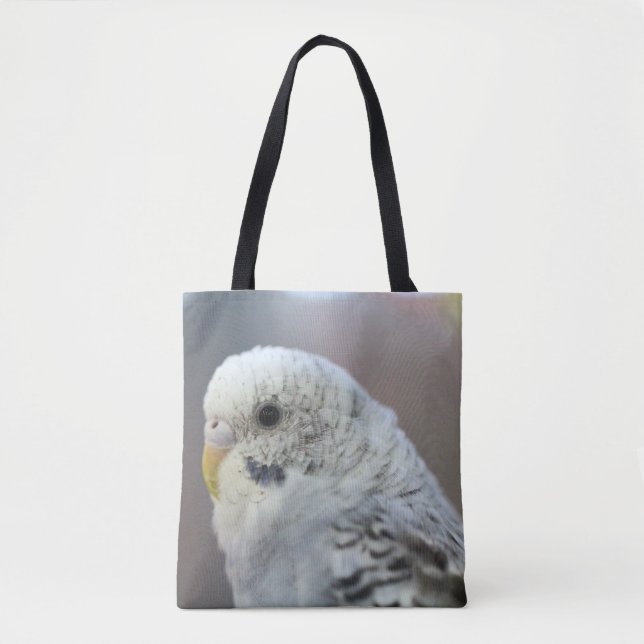 Parakeet (Vorderseite)