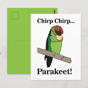 Parakeet Bird Postkarte