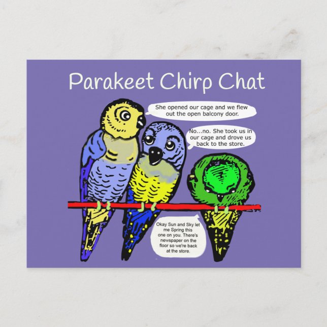 Parakeet Chirp und Talk ist billige Postkarte (Vorderseite)