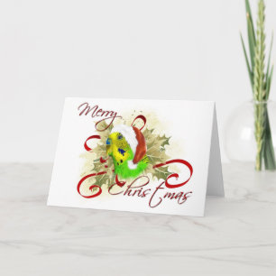 Parakeet Christmas Cards Feiertagskarte