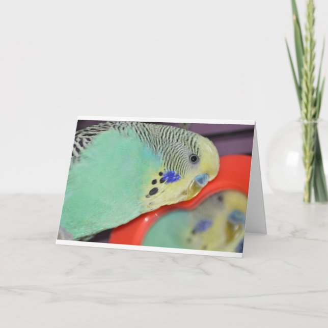 Parakeet, der im Spiegel schaut Karte (Vorderseite)