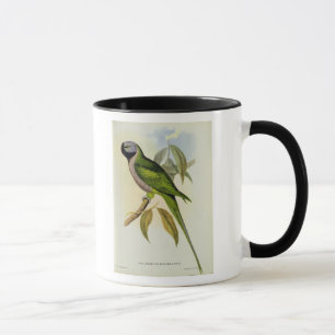 Parakeet: Palaeornis Derbianus, c.1850 Tasse