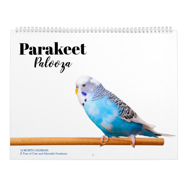 Parakeet Palooza Kalender (Titelbild)