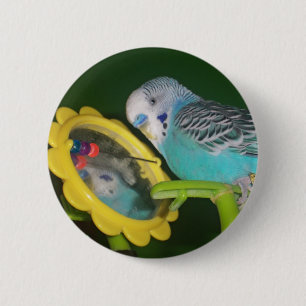 Parakeet-Vogel im Spiegel-Lieblingshaustier-Knopf! Button