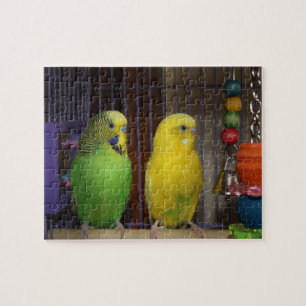 Parakeet-Vogel-Puzzlespiel Puzzle