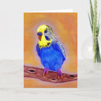 Parakeet-Vogel-Raum-Gruß-Karte