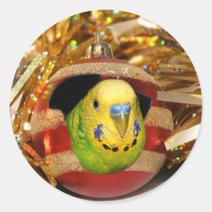 Parakeet-Weihnachten Runder Aufkleber