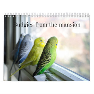 Parakeetkalender Kalender