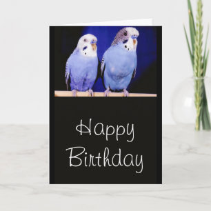 Parakeets (Budgies) Happy Birthday Grußkarte Karte