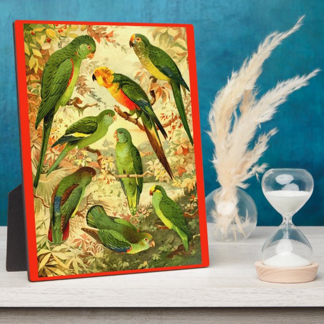 Parakeets Fotoplatte (Seite)